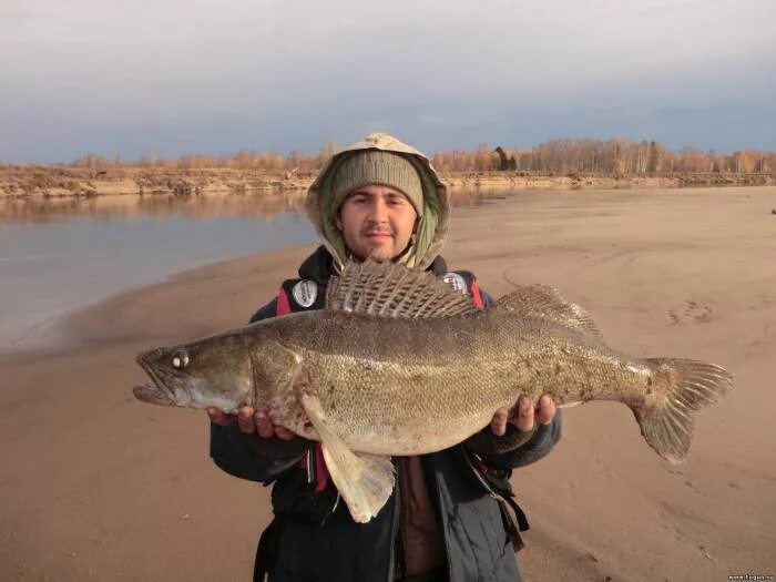 Погода чулым новосибирская на месяц. Чулым 3. Река чулым красноярский край. Чулым здвинский район. Достопримечательности чулыма.