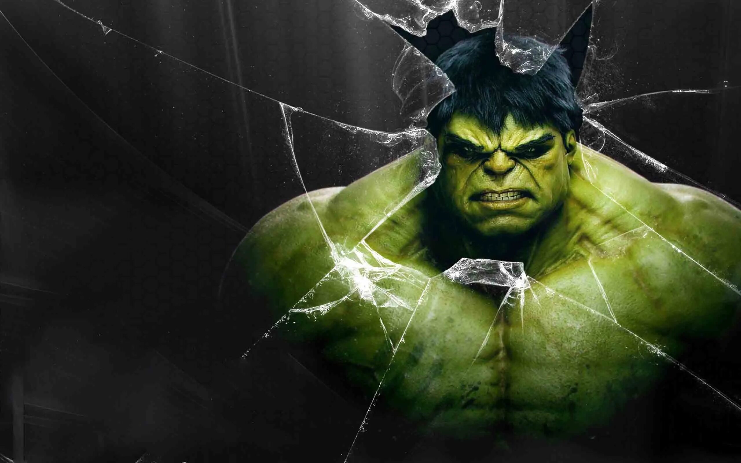 Hulk x