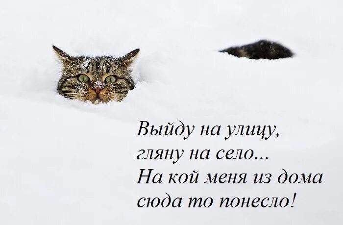 Песня выйду на улицу слушать. Выйду на улицу гляжу на село. Выйду на улицу гляну. Выйду на улицу гляну на село текст. Выйду на улицу гляну на село прикол.