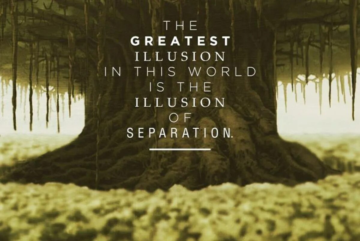 Is this the world are created. World of Illusion. This World. 2011 - The great Illusion. World if Illusion.