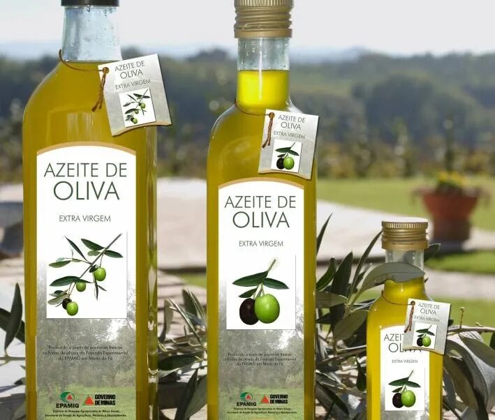 Оливковое масло. Оливковое масло этикетка. Сирийское оливковое масло. Olive Oil этикетка.
