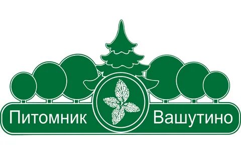Питомник растений ромашкино