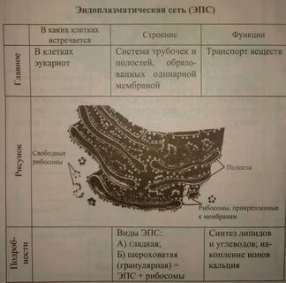 Объект эпс процесс какой