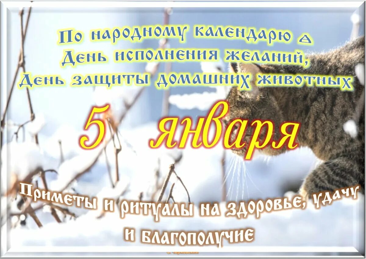 Какой сегодня праздник 5 января