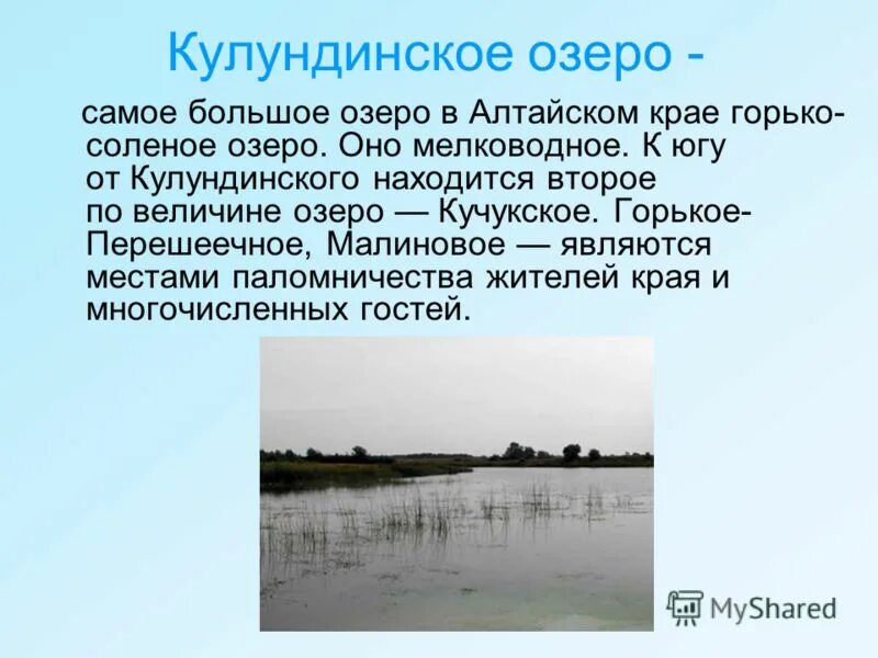 Водные богатства алтайского края. Озеро большое Кулундинское Алтайский край. Кулундинское озеро озёра Алтайского края. Кулундинское соленое озеро. Самый большой водоем в Алтайском крае.