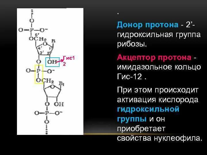 Oh гидроксильная группа