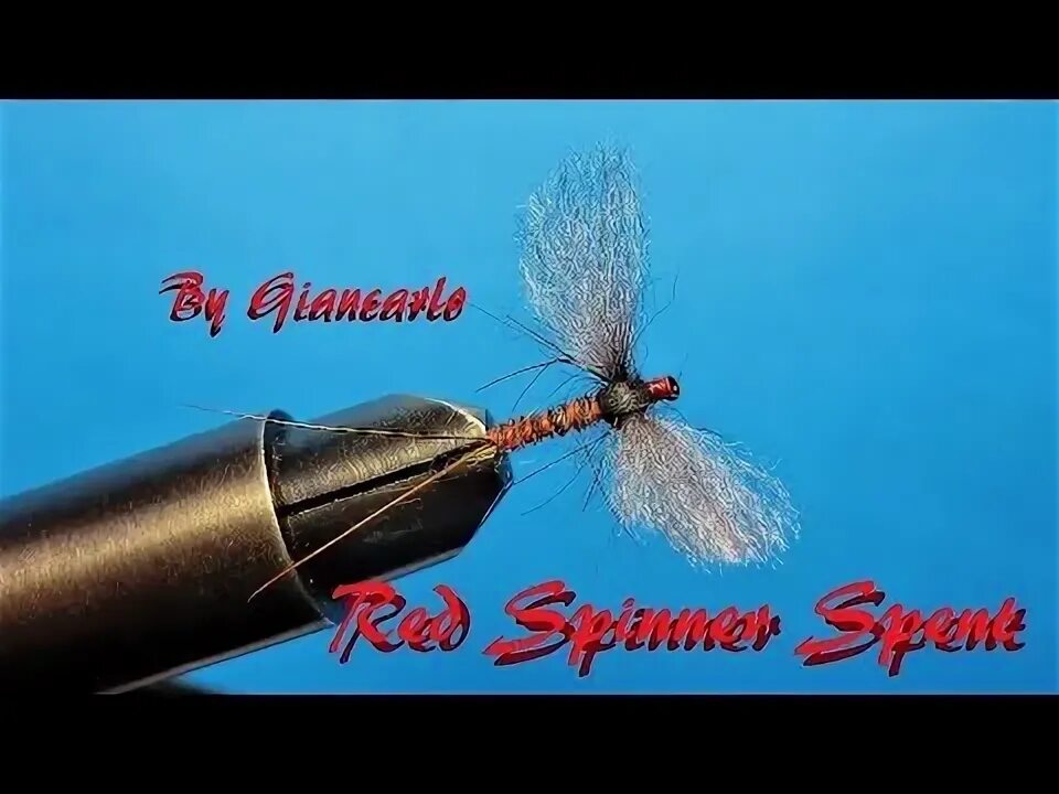 Red spinning. Mosca it Spinner.