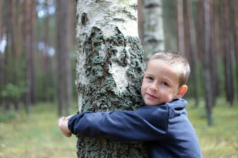 Мальчик на Березе. Дети в Березовом лесу. Береза для детей. Фотосессия мальчика возле березы. Мальчик березка