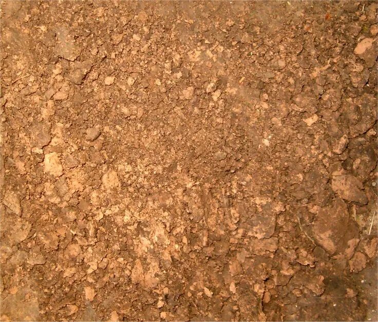 Dirt coloured. Dirt texture. дерт текстура. cartoon dirt texture. rv_texture_dirt.