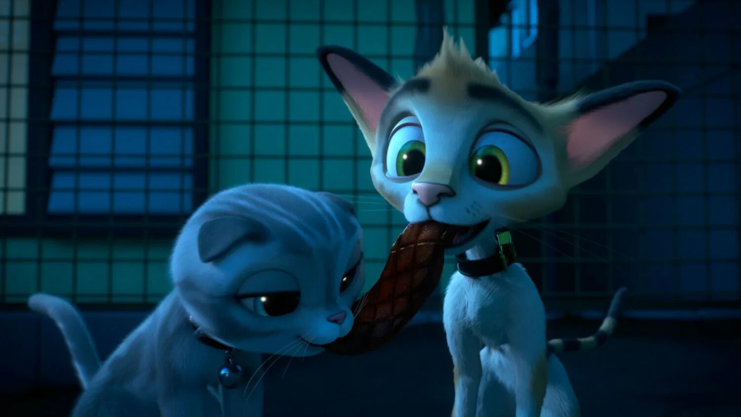 Жил был кот на русском языке. Жил был кот на русском языке