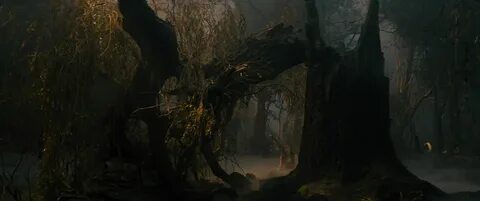 Чем дальше в лес перевод