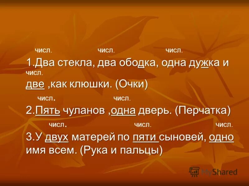Пять комнат но одна дверь. Что идёт оставаясь на месте. Загадка тонок долог в траве не видать. Пять чуланов одна дверь отгадка. Два брюшка загадка.