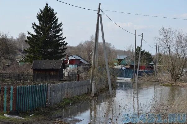 Погода ракитное дальнереченского приморского края. Село Ариадное Приморский край. Село Сальское Дальнереченский район Приморского края. Ракитное Дальнереченский район. Ариадное Дальнереченского района.