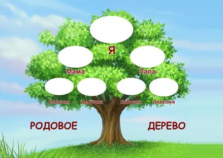 Учимся составлять родословную и рисовать генеалогическое древо - репетитор для м