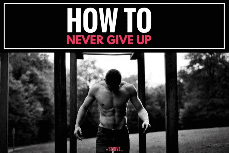 Never give up на рабочий стол. Фраза never give up. Never never. Never give up рисунок. Never never never give up.