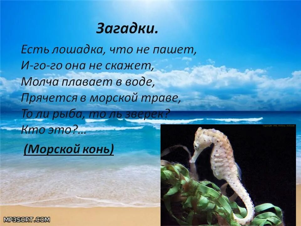 Загадка краб. Загадки про морских обитателей. Загадки про морских обитателей для детей. Загадки на тему подводный мир. Загадки о обитателях моря.