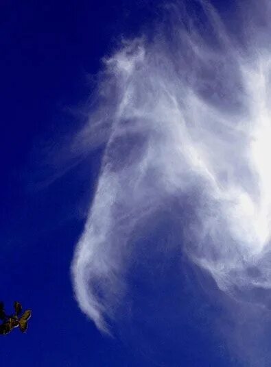 Look at those clouds. Облака в виде лошадей. Облако в виде лошадки. Облако в форме лошади. Чудеса в облаках.