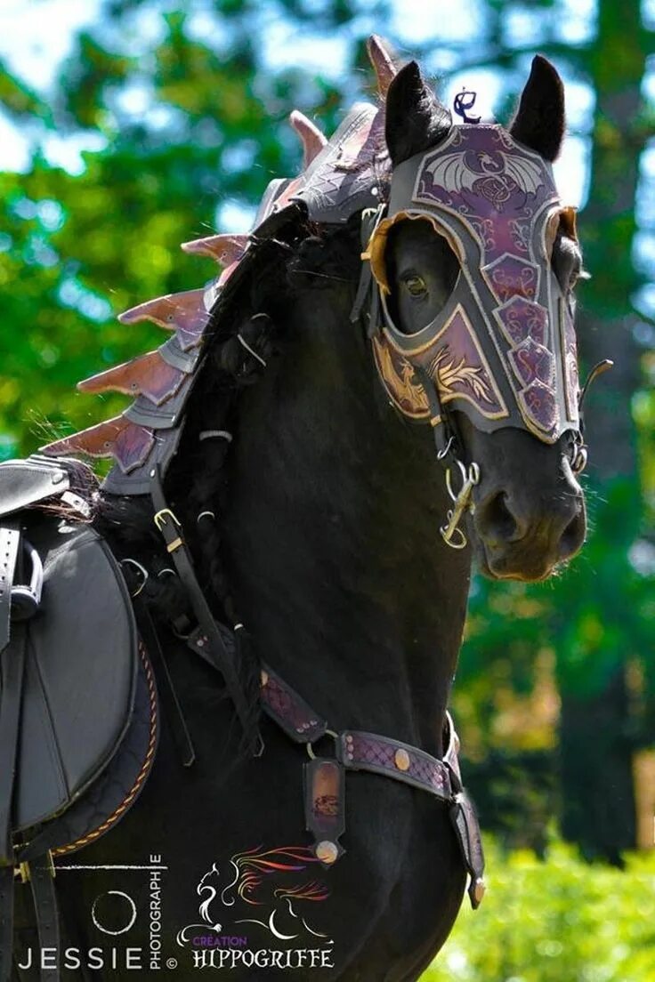 Доспехи на коне. Верховая упряжь средневековья. Лошадь упряжь броня. Конь в доспехах. Лошадь в броне.