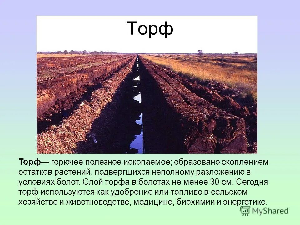 Торф относится к группе