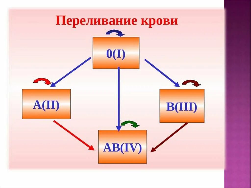 Гемотрансфузия группа крови. Переливание крови 8 класс биология. Переливание крови биология таблица. Переливание крови схема переливания. Зарисуйте схему «переливание крови».