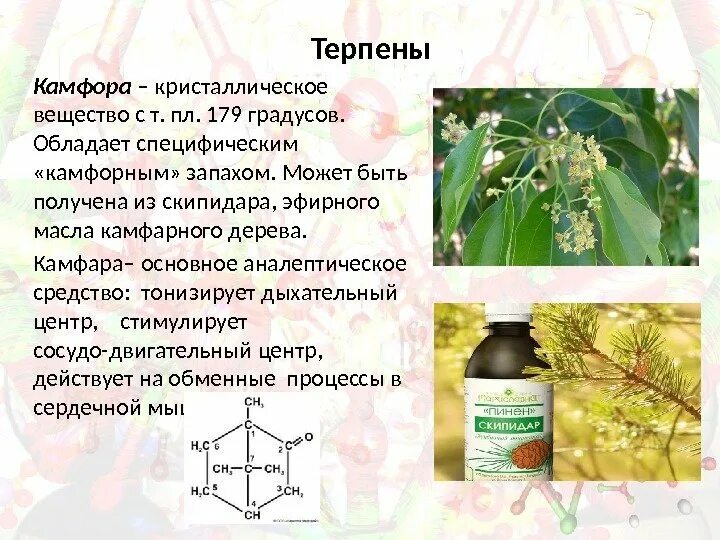 Камфора терпен. Масло камфорного дерева. Камфора синтетическая. Камфора кристаллическая.