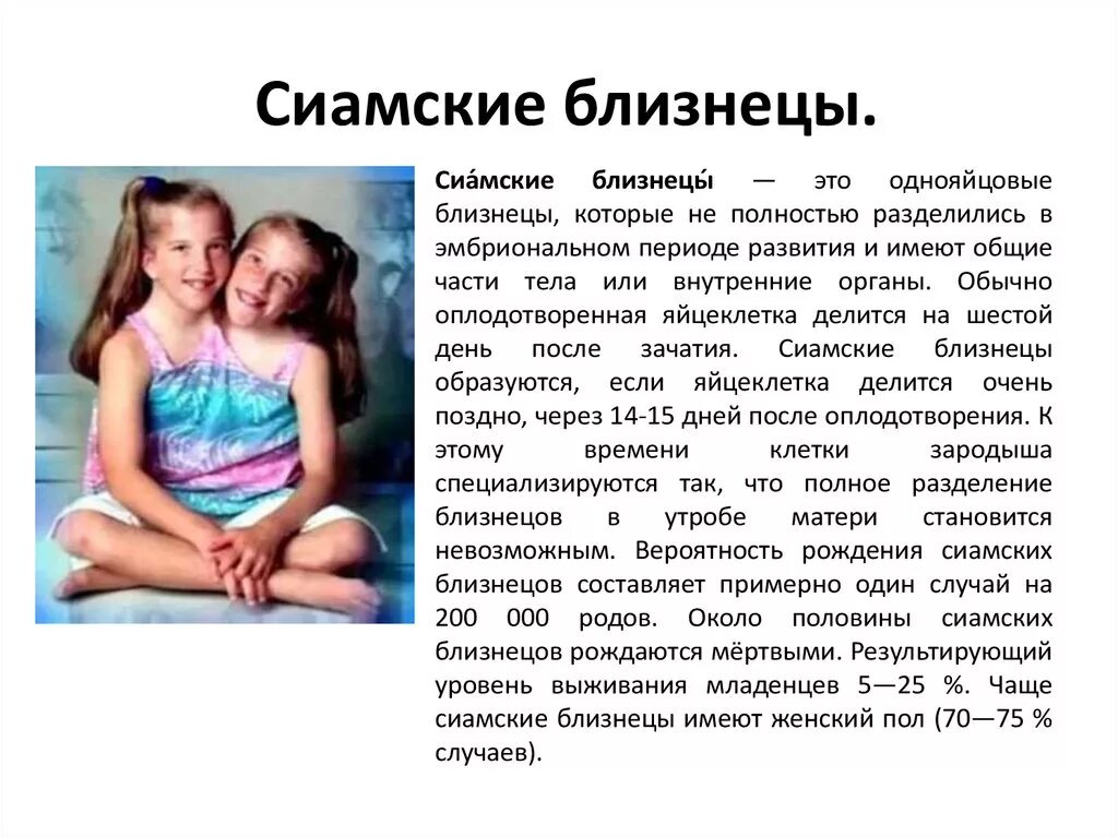Близнецы проект. Сиамские близнецы характеристика. сиамские близнецы презентация. близнецы для презентации.