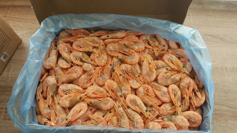 креветка 90 фото