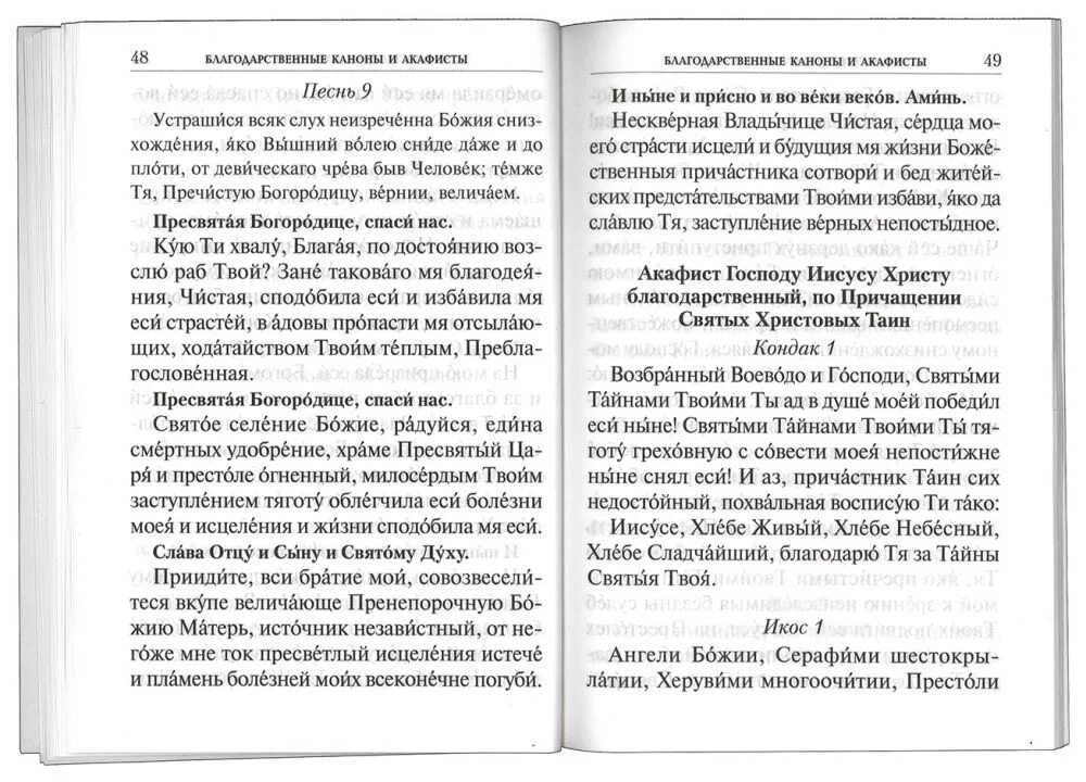Молебен благодарственный господу иисусу. Благодарственные молитвы господу богу иисусу христу. молитва иисусу христу благодарственная. благодарственный молебен ко господу иисусу христу. благодарственная молитва иисусу.