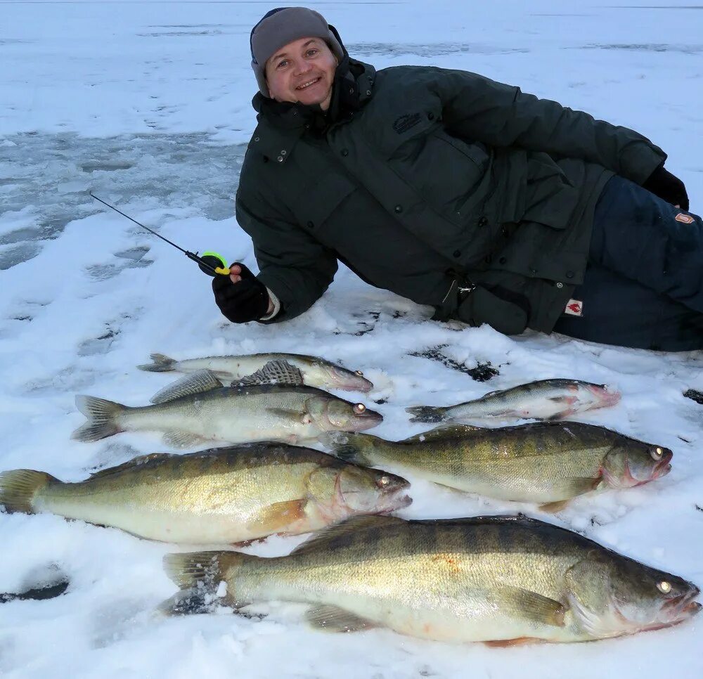 Форум рыбаков рыбинска. Рыбинка Рыбинское водохранилище. Рыбалка на Рыбинке зимой. Рыбалка на Рыбинском. Рыбалка на Рыбинском водохранилище.