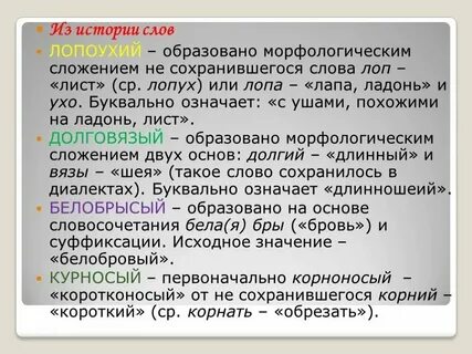 История слова информация