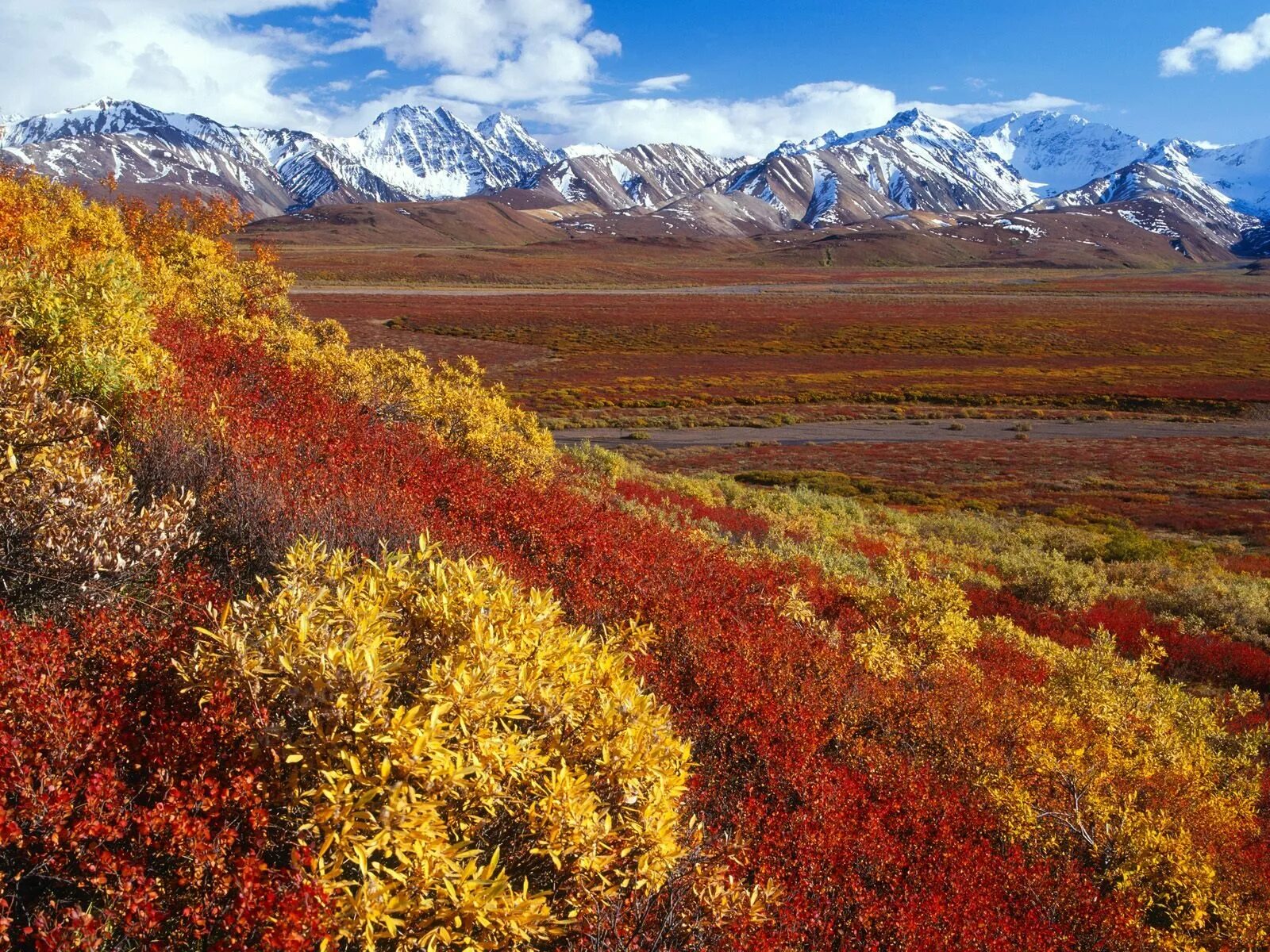 Какое время года в северной америке