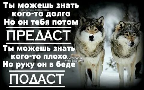 Друг это тот кто отдает косточку