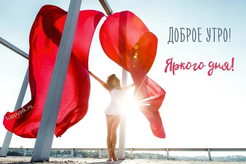 Белка радуется. Доброе утро танцы. Доброе утро танцуем. Смешные белки. Доброе утро танцуем.