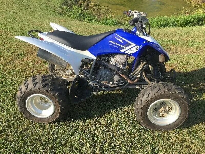Ямаха раптор 250. Квадроцикл ямаха 250. Yamaha raptor 250. Квадроцикл yamaha raptor 250. Yamaha raptor 200.