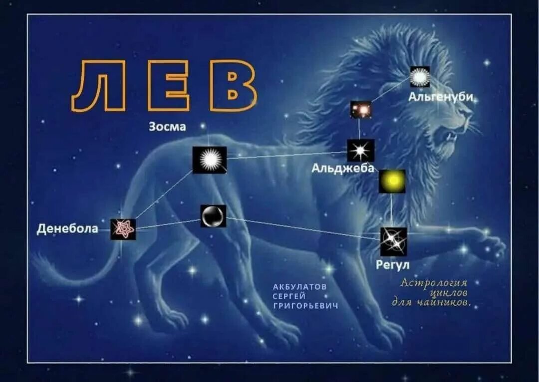 Лев с 1 по 7 апреля 2024. Созвездие Лев расположение звезд. Лев Созвездие схема самая яркая звезда. Зодиакальное Созвездие Льва астрономия. Звезда регул в созвездии Льва.