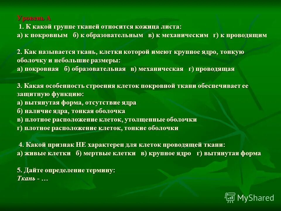 Название слоя кожи строение функции таблица. Первично покровные ткань эпидерма строение. Покровные ткани эпидермис пробка корка. Покровная ткань кожица лука. К какому типу тканей относится кожица.