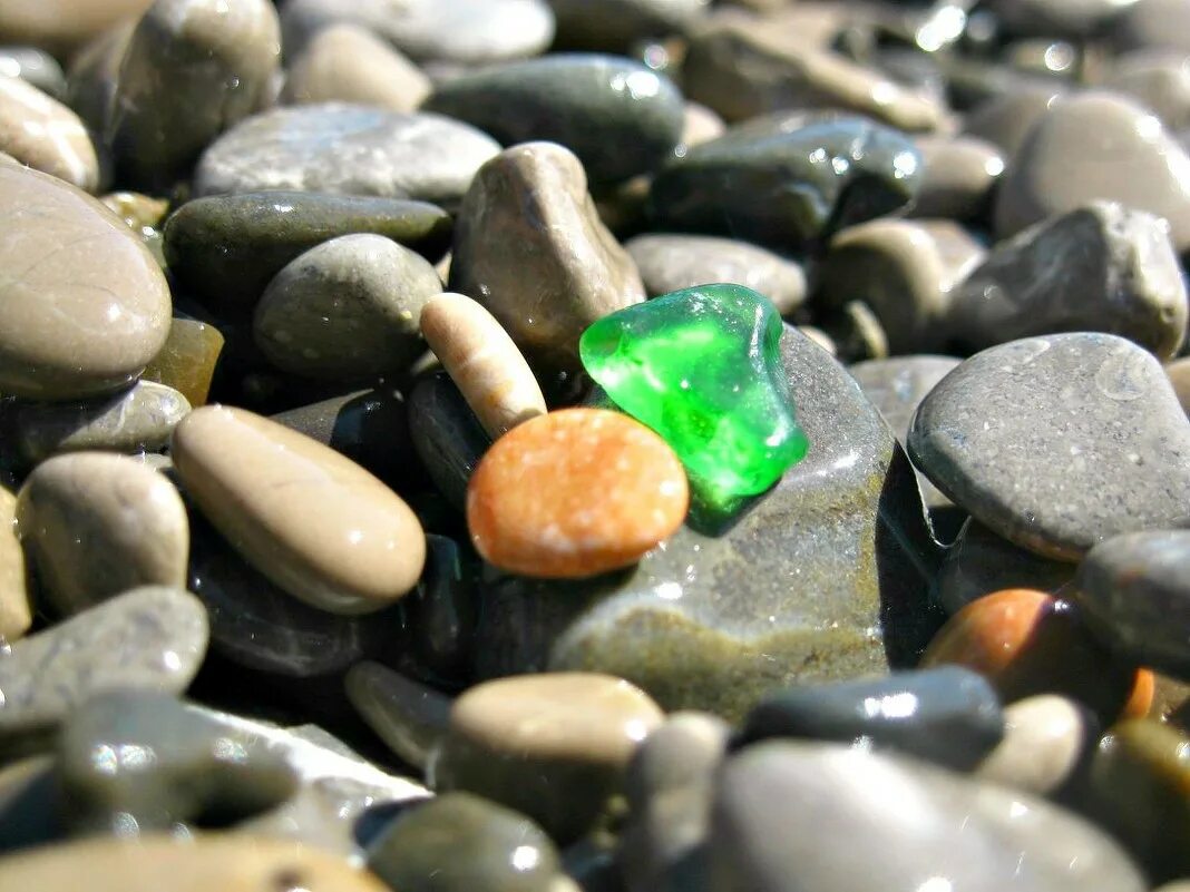 Подводные камни купить. Зеленый морской камень. Морские камешки. Морские камушки. Галька зеленая.