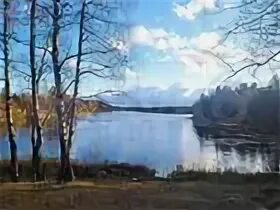 Погода в васкелово ленинградской на 14 дней. Троицкое озеро Васкелово. Дача Васкелово озеро. Карачаровское шоссе Васкелово.
