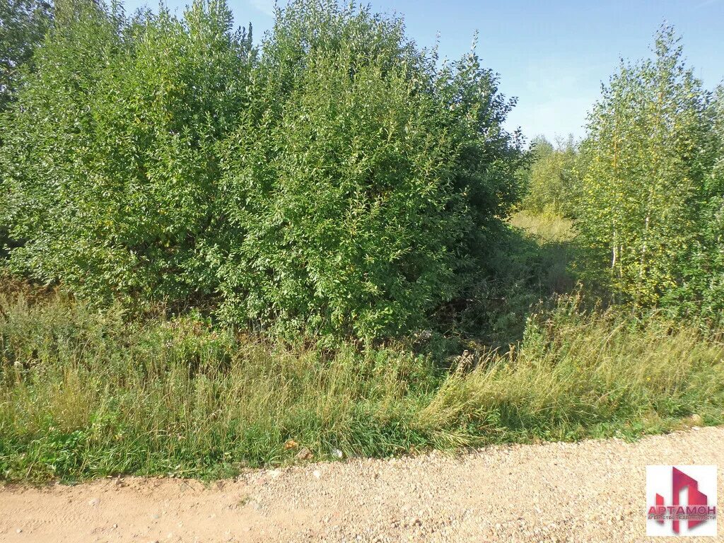 Погода ростовцево солнечногорский. Жеребятино. Погода ростовцево солнечногорский. Деревня ростовцево. Деревня ростовцево.