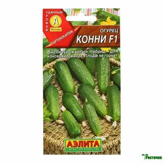 Огурец сорт конни