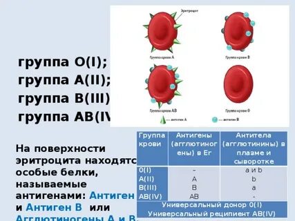 Антитела плазмы