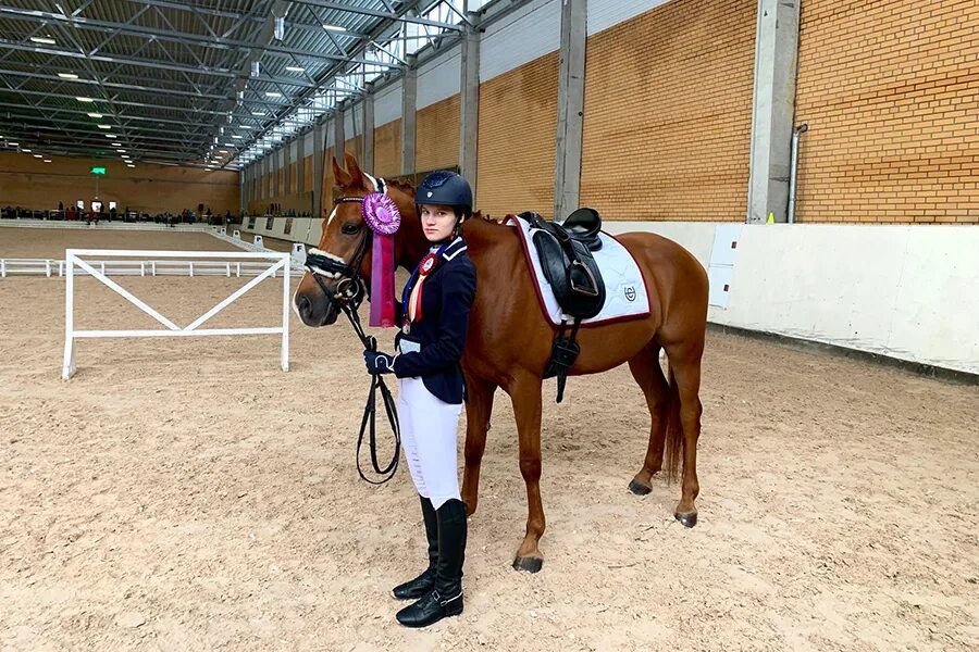 Кск приор. Мерин лошадь и человек. Кск приор спб. Кск приор манеж. Конно  спортивный клуб кск приор.