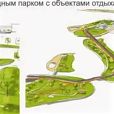 Функции городского парка. Функции городского парка