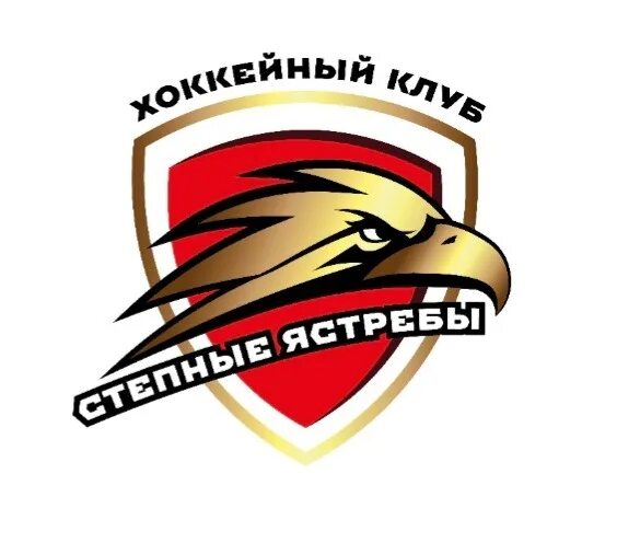 Хк степные ястребы бузулук. Хк биек тау логотип. Хк степные ястребы бузулук. Ска айсберг. Соревнования по хоккею.