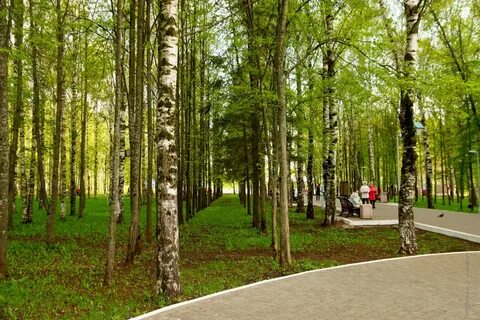 Парк победы прогулка