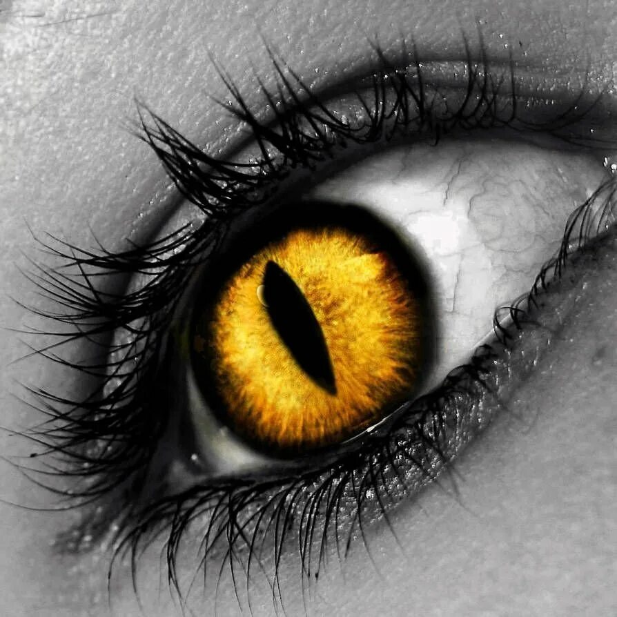 Оранжевые глазки. Желтые глаза. Оранжевые глаза. Золотые глаза. Янтарные глаза.
