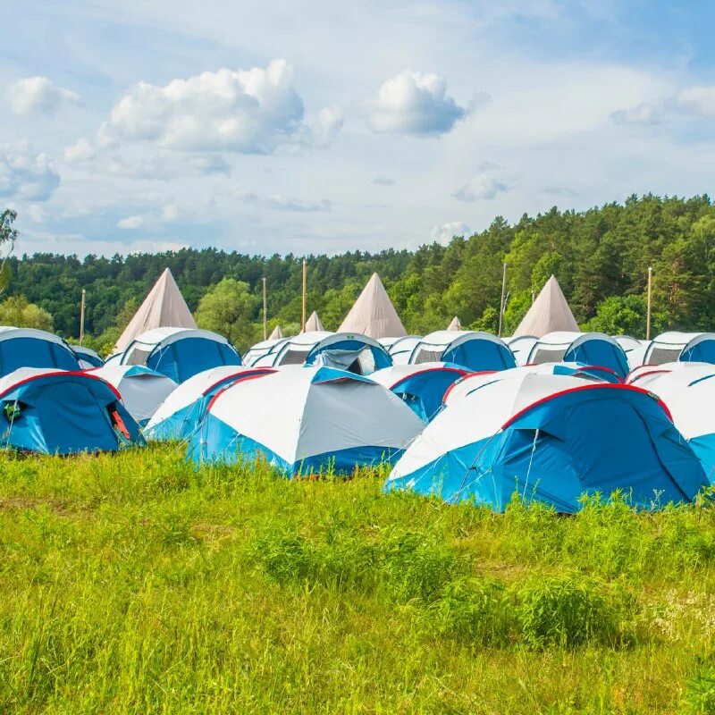 муромцево палаточный лагерь кемпинг. палаточный лагерь истра юкос. палаточный городок светлояр нижегородская область. чемальская поляна кемпинг. палаточный лагерь.