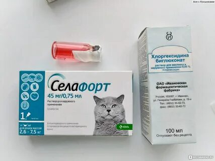 Ребенок 6 месяцев чешет уши
