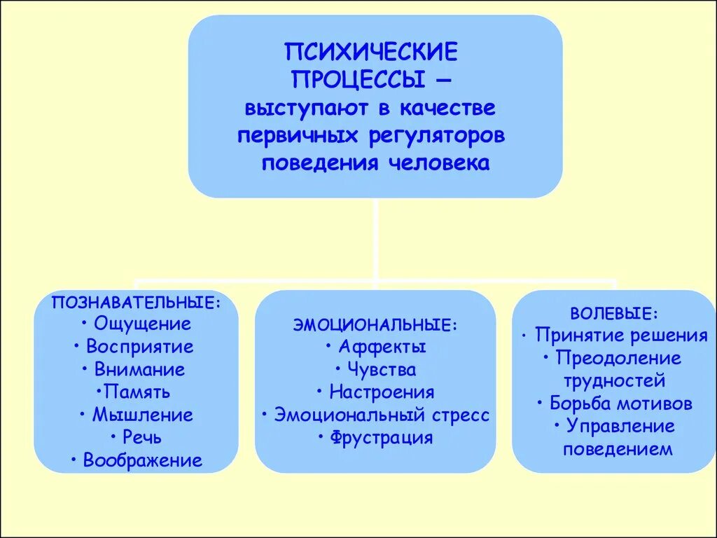 Психические процессы кратко. Биопсихические процессы. Психические процессы в психологии. Психические и психологические процессы. Психические процессы (Познавательные, эмоционально-волевые)..