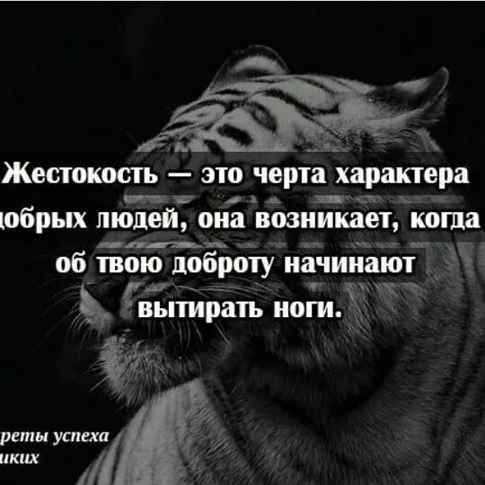 Добрые люди становятся злыми. Человеческая жестокость цитаты. Самые жесткие цитаты. Фразы про жестокость. Статусы про жестокость.